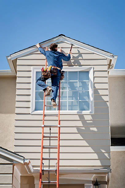 Best Brick Veneer Siding  in El Jon, CA